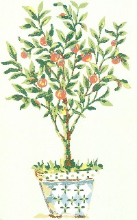 Thibaut Jardiniere